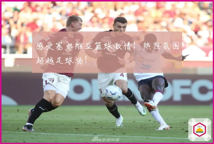 感受塞尔维亚篮球激情！热烈氛围超越足球场！