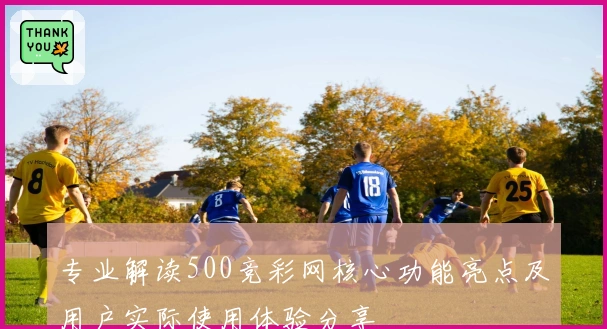 专业解读500竞彩网核心功能亮点及用户实际使用体验分享